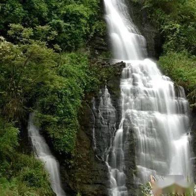幻境森林大逃生